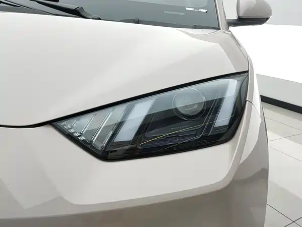 BYD Seagull 2024