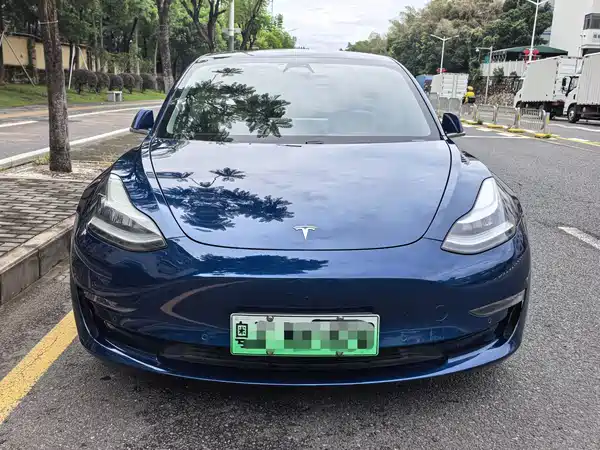 Tesla Model 3 2020