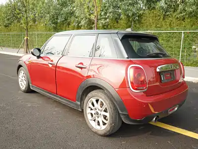 MINI MINI 2015