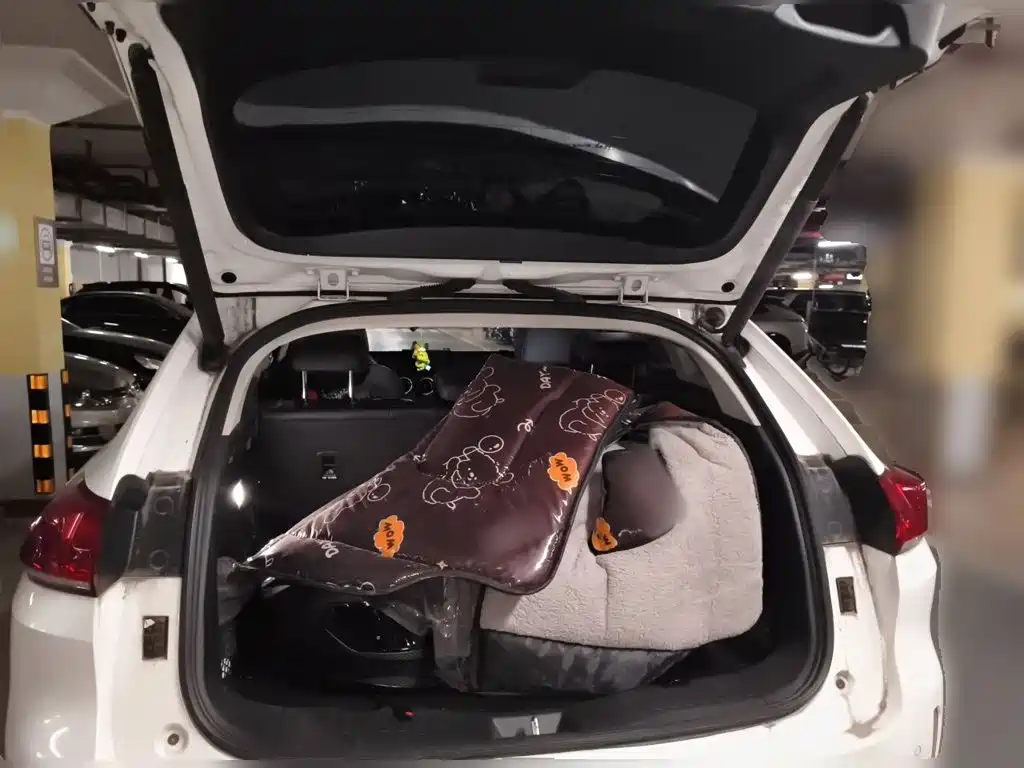 Wey VV5 2019 — фото 10