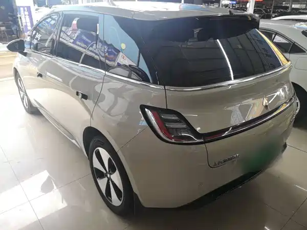 Baojun Yunduo 2024