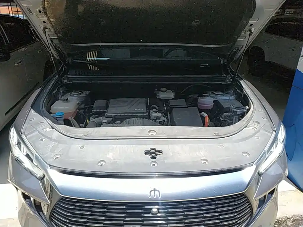 BYD Song Pro New Energy 2024 — фото 20
