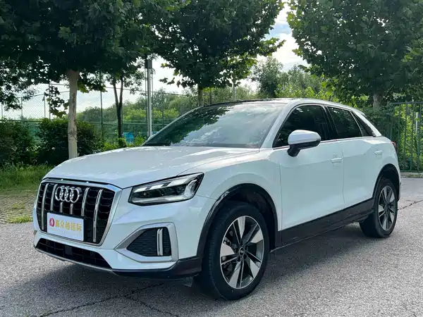 Audi Q2L 2022