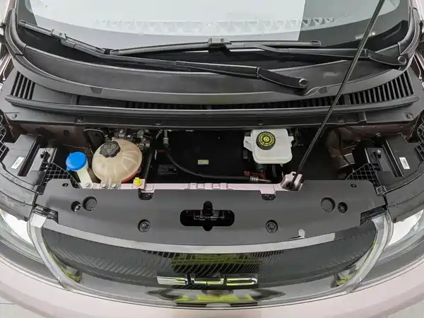 BYD Dolphin 2023