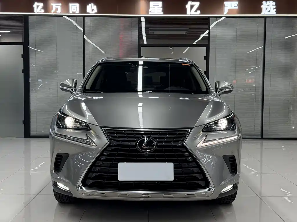 Lexus NX 2020 — фото 2