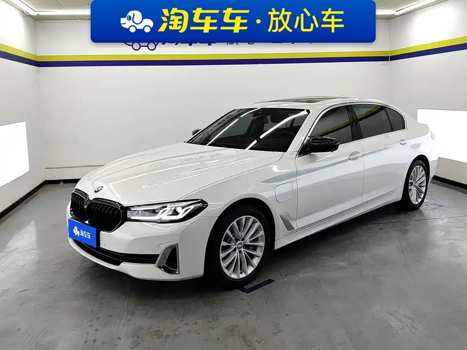 BMW 5 Series New Energy 2021