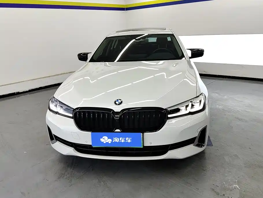BMW 5 Series New Energy 2021