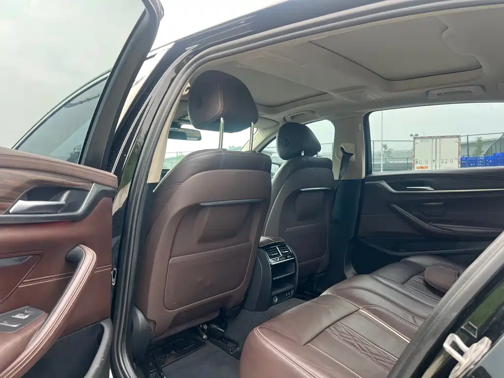 BMW 5 Series New Energy 2020