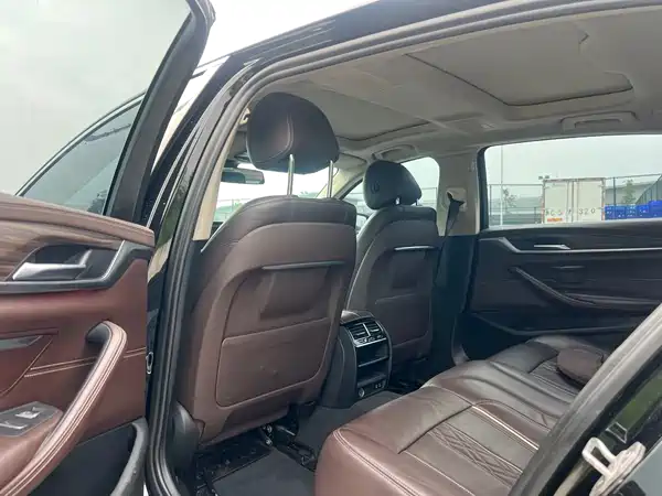 BMW 5 Series New Energy 2020