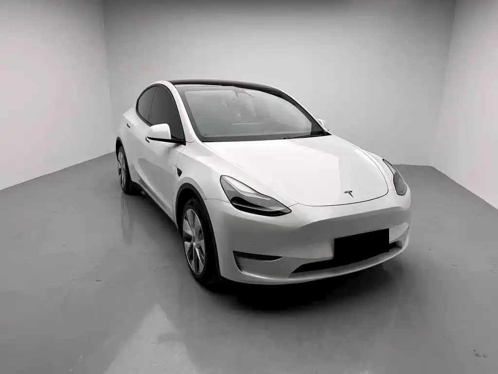 Tesla Model Y 2021 — фото 3