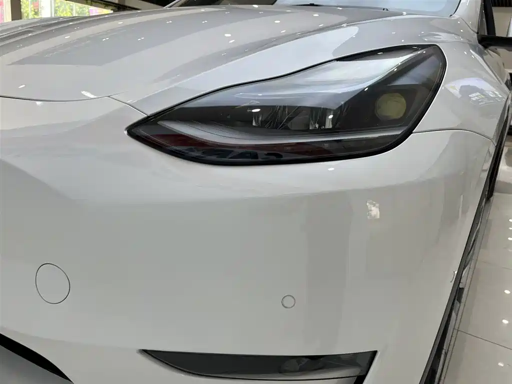 Tesla Model Y 2021 — фото 6