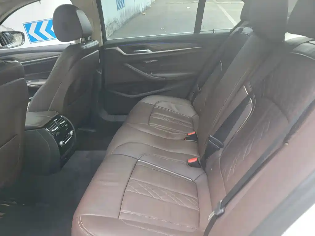 BMW 5 Series New Energy 2019