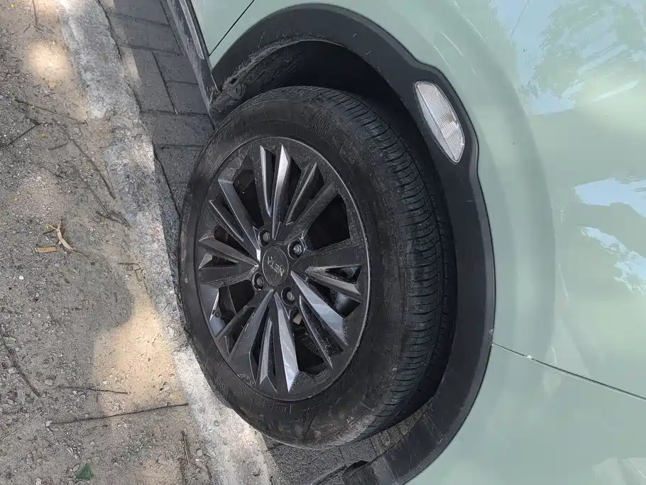 Neta V 2022