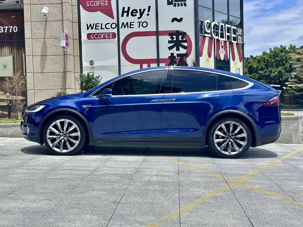Tesla Model X 2016 — фото 6