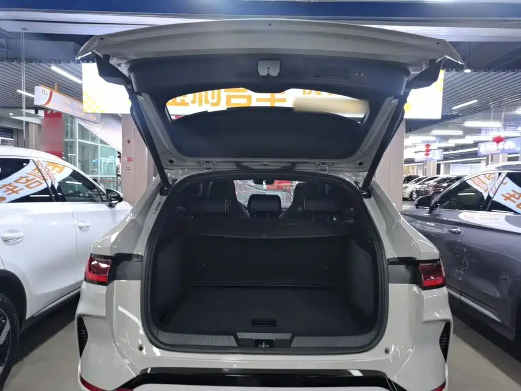 BYD PLUS New Energy 2023 — фото 19