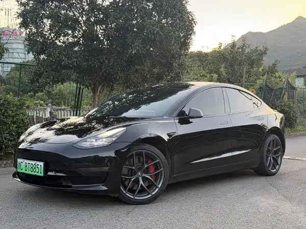 Tesla Model 3 2022