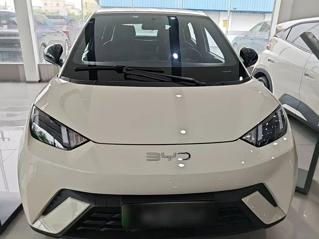 BYD Seagull 2024