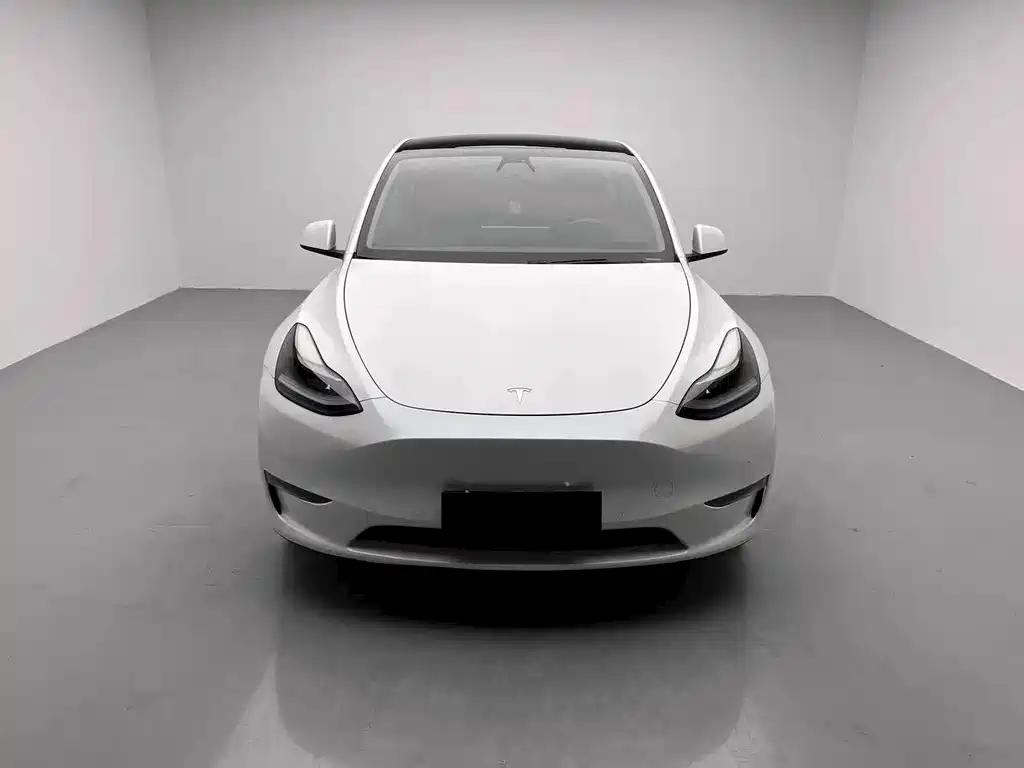 Tesla Model Y 2021 — фото 2