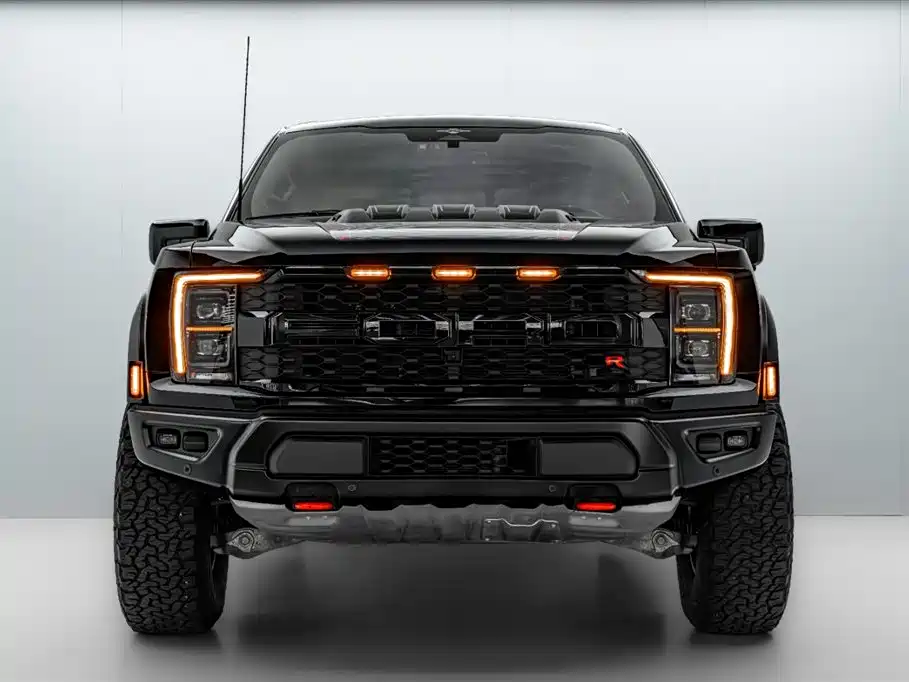 Ford F-150 Raptor 2024 — фото 2