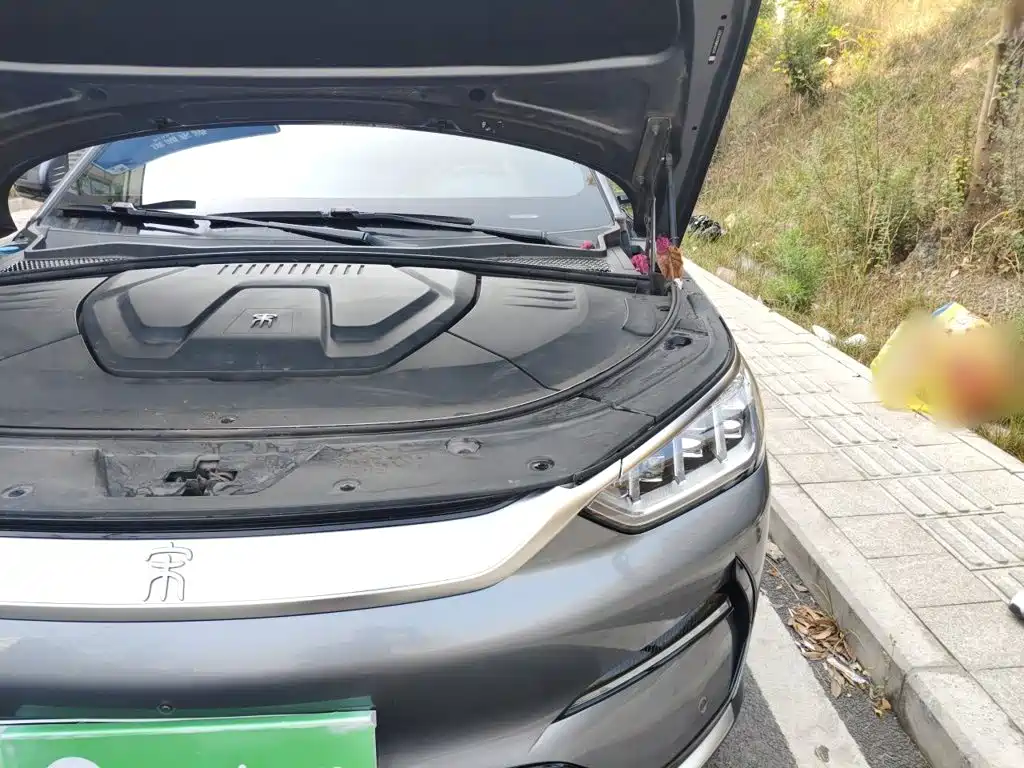 BYD PLUS New Energy 2021 — фото 22