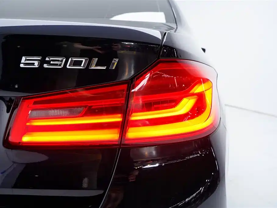 BMW 5 Series 2019 — фото 16