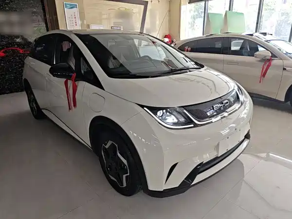 BYD Dolphin 2021