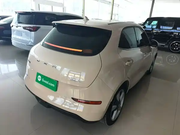 Ora Good Cat 2021