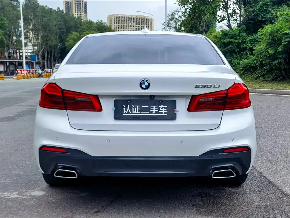 BMW 5 Series 2019 — фото 6