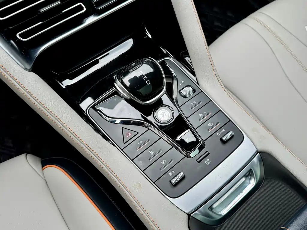 BYD Song PLUS New Energy 2023 — фото 14
