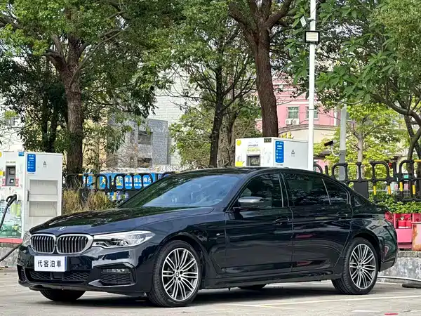 BMW 5 Series 2019