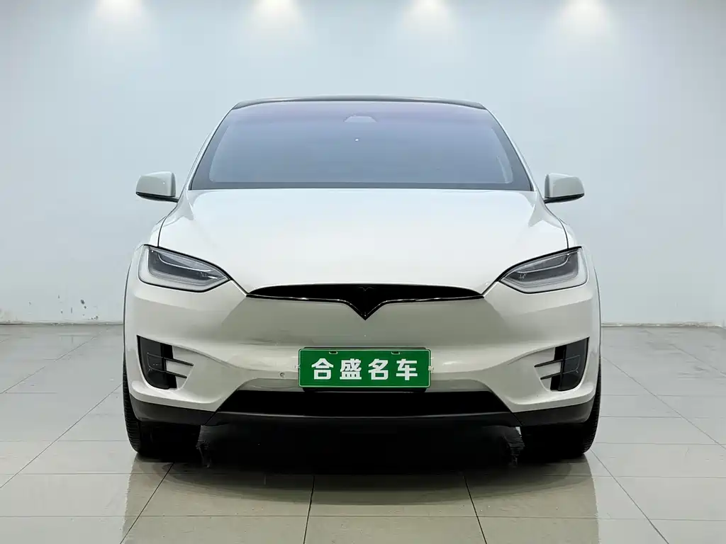 Tesla Model X 2020 — фото 2