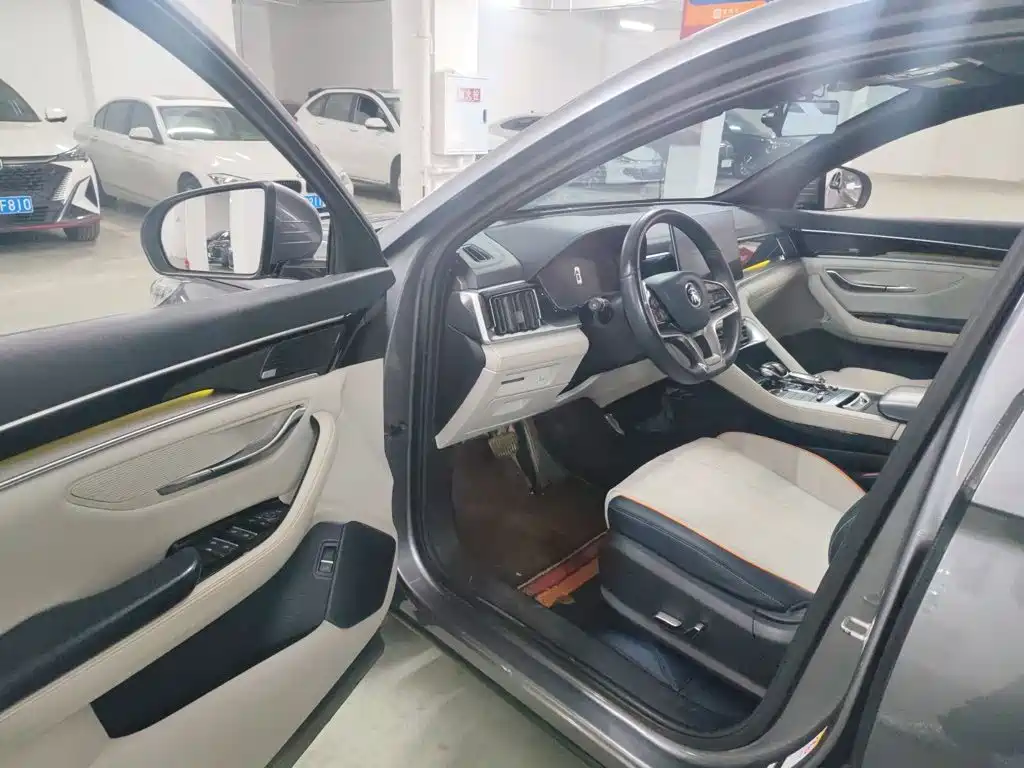 BYD Song PLUS New Energy 2022 — фото 12