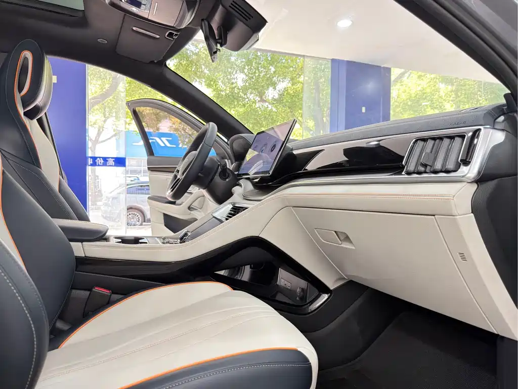 BYD Song PLUS New Energy 2024 — фото 12