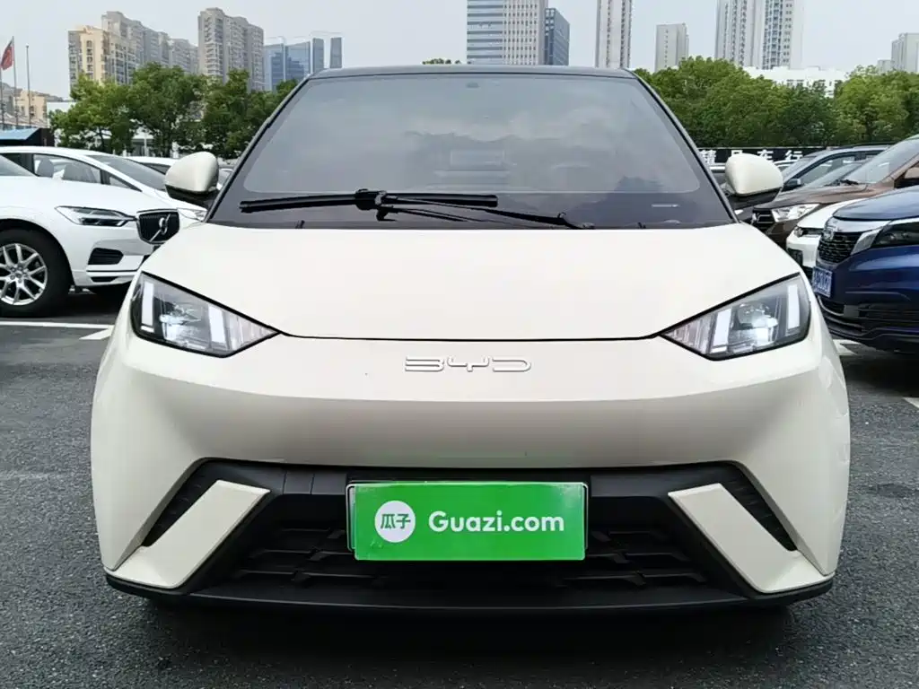 BYD Seagull 2024