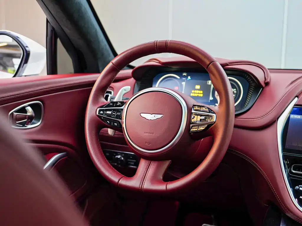 Aston Martin DBX 2021 — фото 10