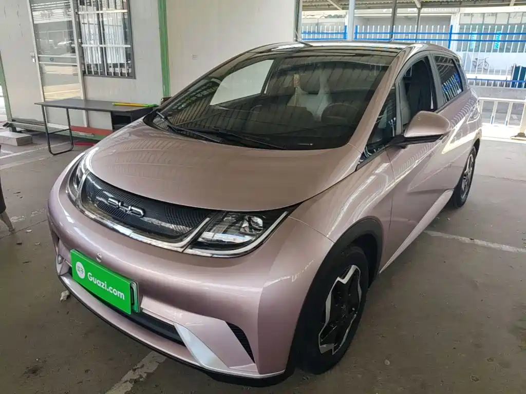 BYD Dolphin 2022