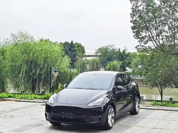 Tesla Model Y 2021