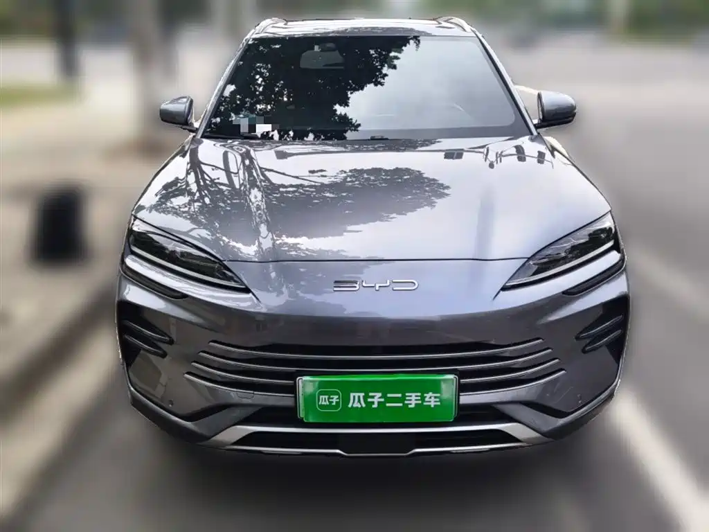 BYD PLUS New Energy 2024 — фото 24
