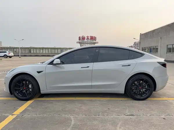 Tesla Model 3 2019