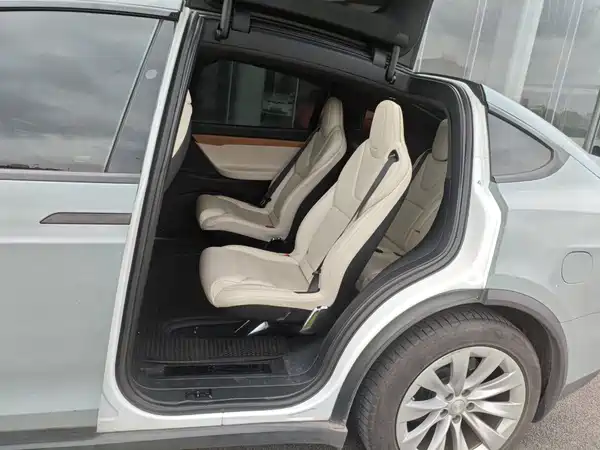 Tesla Model X 2020