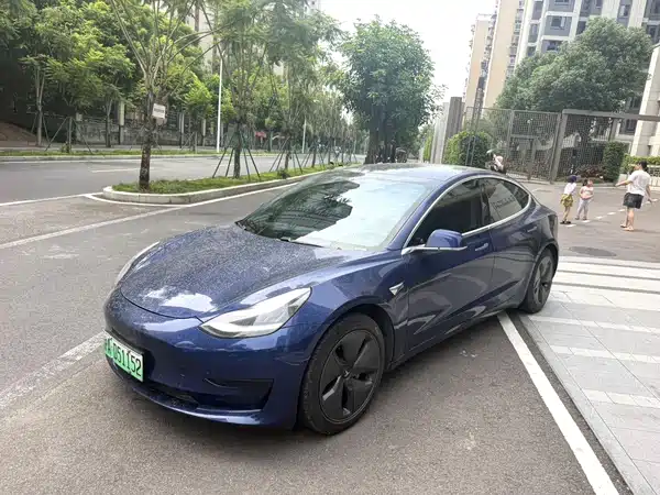 Tesla Model 3 2020