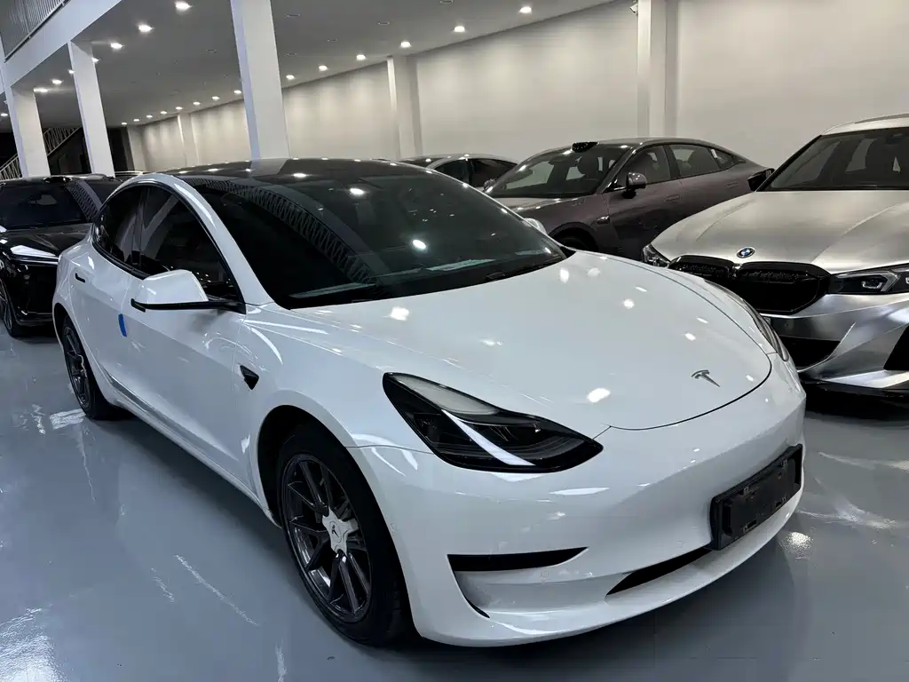 Tesla Model 3 2021 — фото 2
