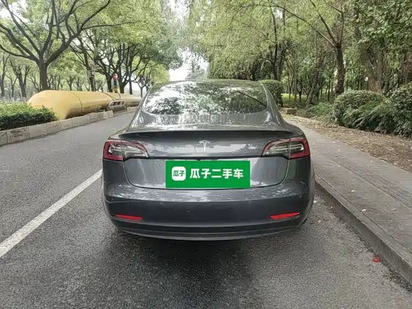 Tesla Model 3 2019