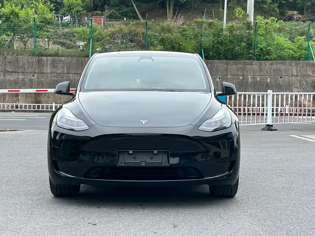 Tesla Model Y 2024 — фото 2