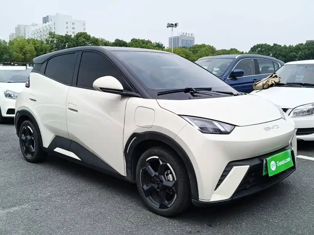 BYD Seagull 2024