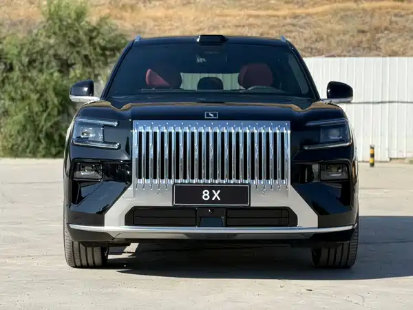 Zeekr 8X 2026
