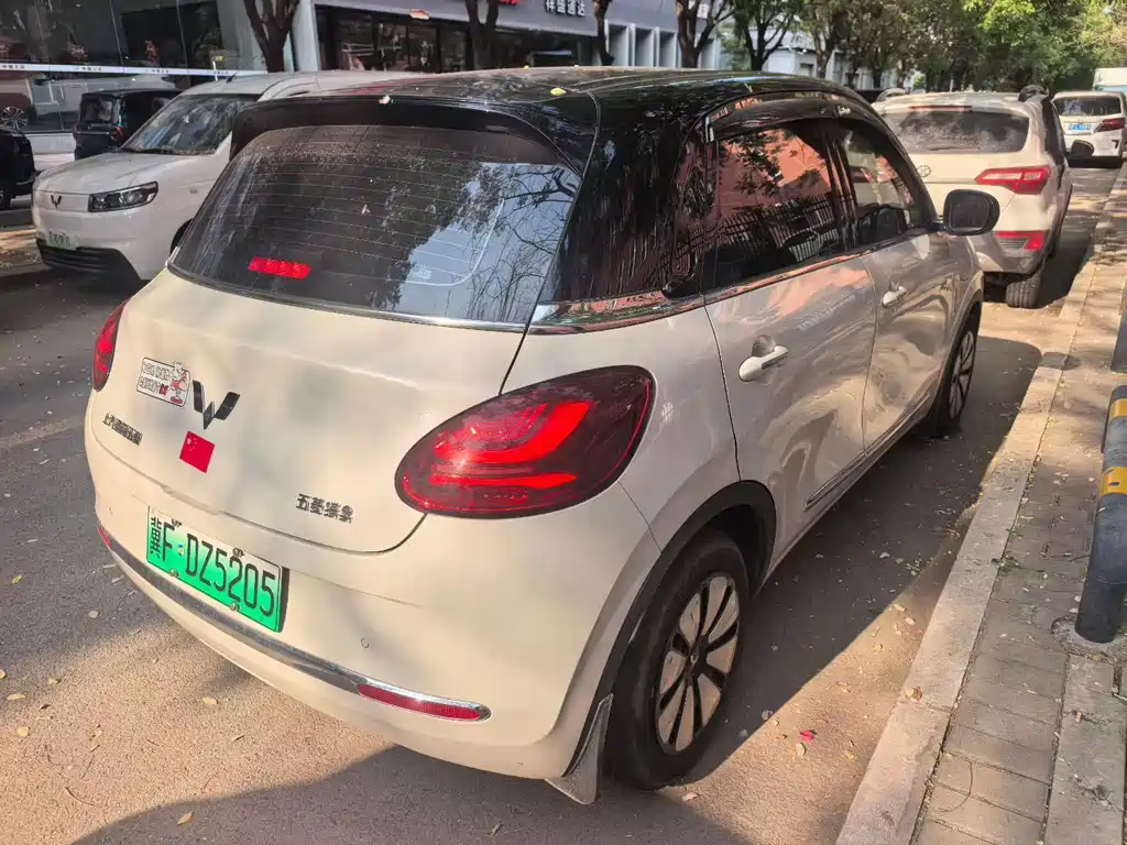 Wuling Bingo 2024