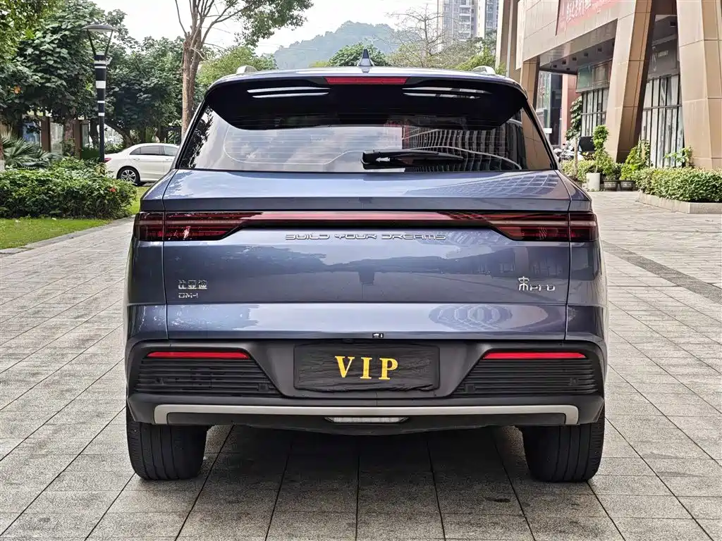 BYD Pro New Energy 2024 — фото 15
