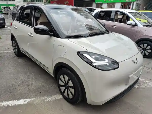 Wuling Bingo 2024