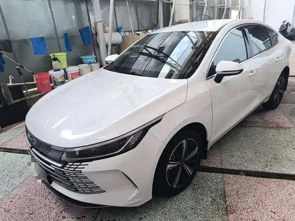 BYD Destroyer 05 2024